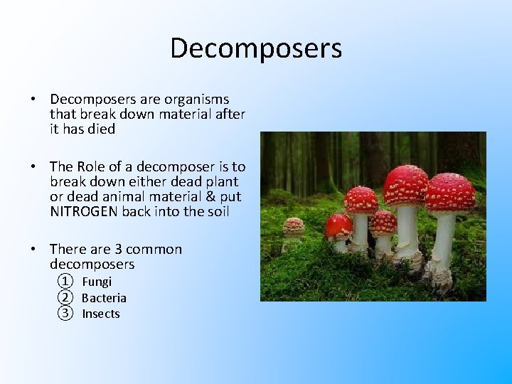 Decomposers • Decomposers are organisms that break down material after it has died •