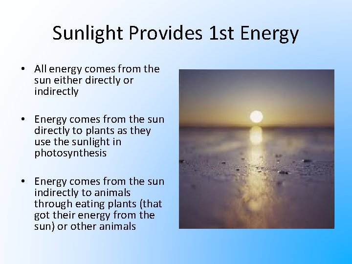 Sunlight Provides 1 st Energy • All energy comes from the sun either directly