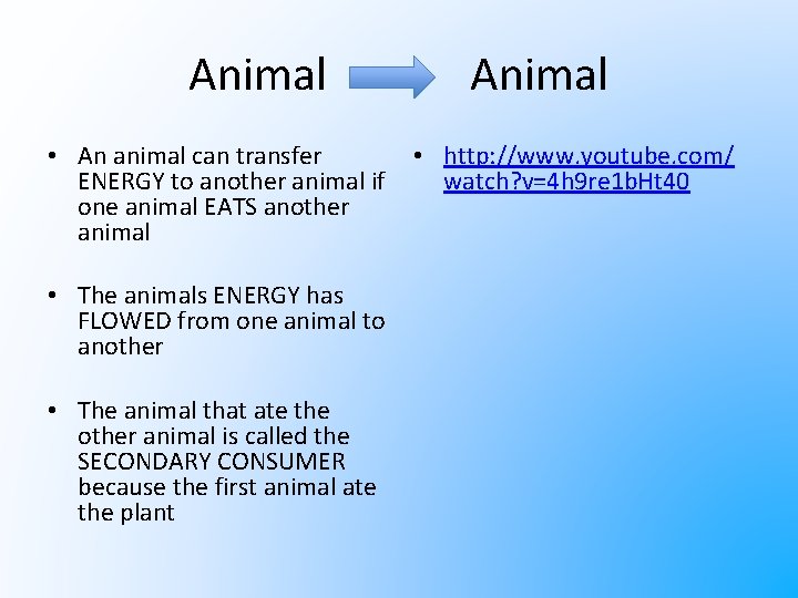 Animal • An animal can transfer ENERGY to another animal if one animal EATS