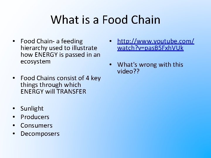What is a Food Chain • Food Chain- a feeding hierarchy used to illustrate