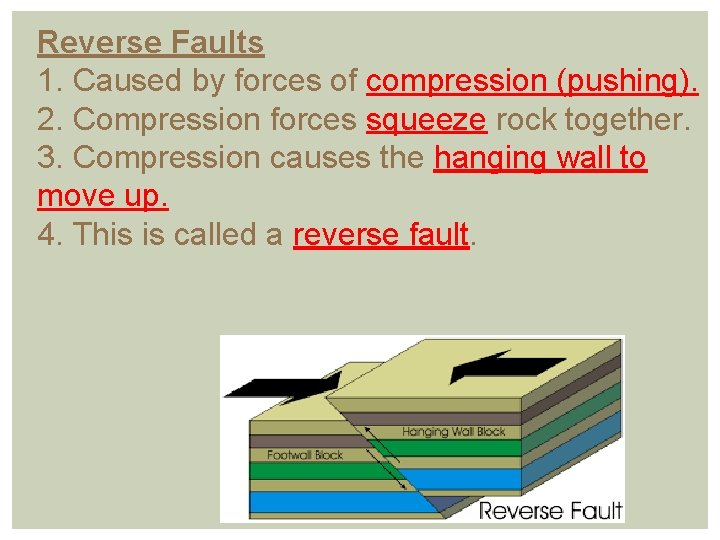 Reverse Faults 1. Caused by forces of compression (pushing). 2. Compression forces squeeze rock
