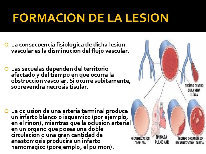 FORMACION DE LA LESION La consecuencia fisiologica de dicha lesion vascular es la disminucion