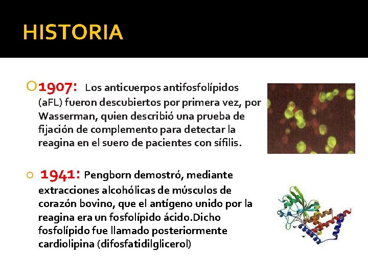 HISTORIA 1907: Los anticuerpos antifosfolípidos (a. FL) fueron descubiertos por primera vez, por Wasserman,
