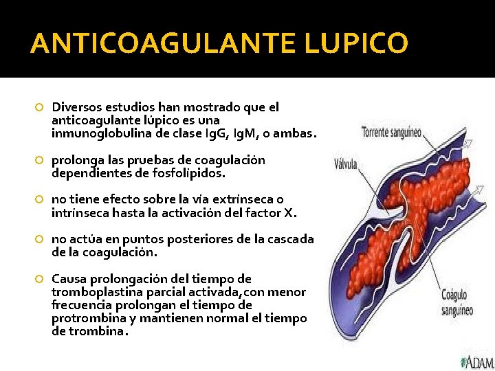 ANTICOAGULANTE LUPICO Diversos estudios han mostrado que el anticoagulante lúpico es una inmunoglobulina de