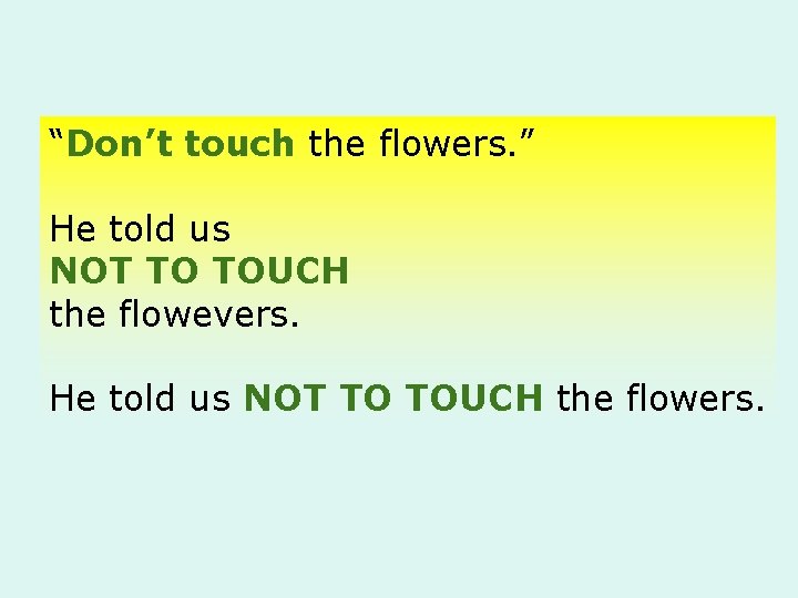 “Don’t touch the flowers. ” He told us NOT TO TOUCH the flowevers. He
