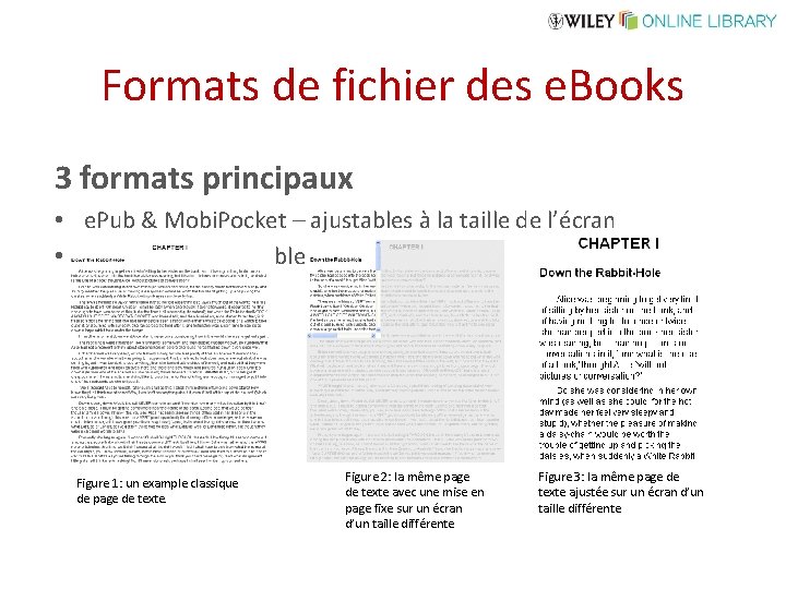 Formats de fichier des e. Books 3 formats principaux • e. Pub & Mobi.