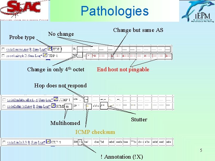 Pathologies Probe type No change Change in only 4 th octet Change but same