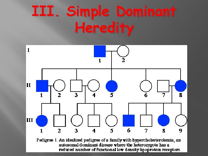 III. Simple Dominant Heredity 