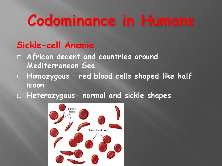 Codominance in Humans Sickle-cell Anemia � � � African decent and countries around Mediterranean