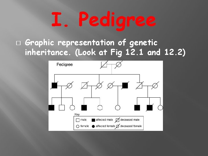 I. Pedigree � Graphic representation of genetic inheritance. (Look at Fig 12. 1 and