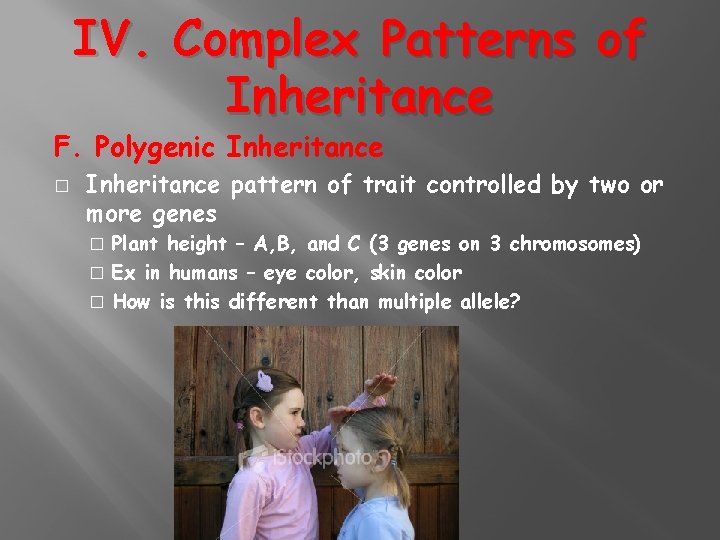 IV. Complex Patterns of Inheritance F. Polygenic Inheritance � Inheritance pattern of trait controlled