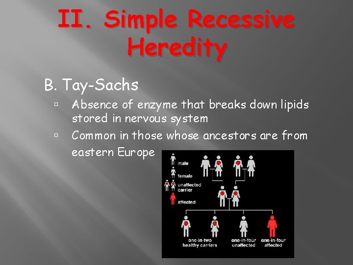 II. Simple Recessive Heredity B. Tay-Sachs Absence of enzyme that breaks down lipids stored