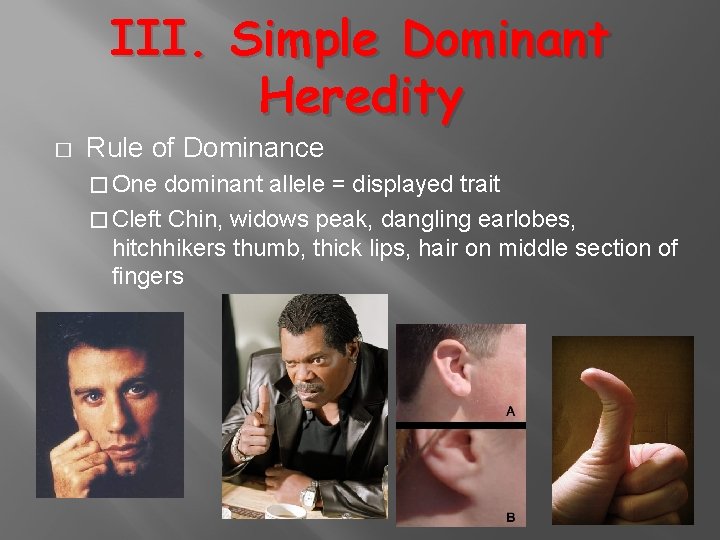 III. Simple Dominant Heredity � Rule of Dominance � One dominant allele = displayed