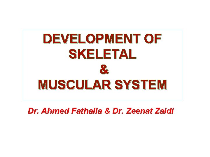 DEVELOPMENT OF SKELETAL & MUSCULAR SYSTEM Dr. Ahmed Fathalla & Dr. Zeenat Zaidi 