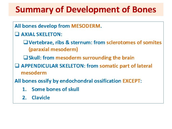 Summary of Development of Bones All bones develop from MESODERM q AXIAL SKELETON: q.