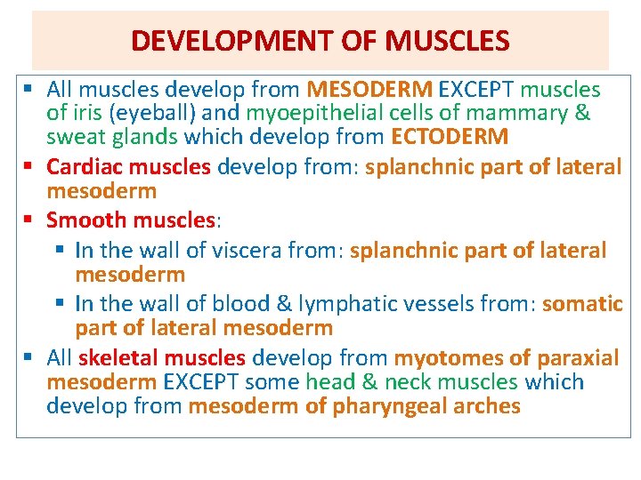 DEVELOPMENT OF MUSCLES § All muscles develop from MESODERM EXCEPT muscles of iris (eyeball)