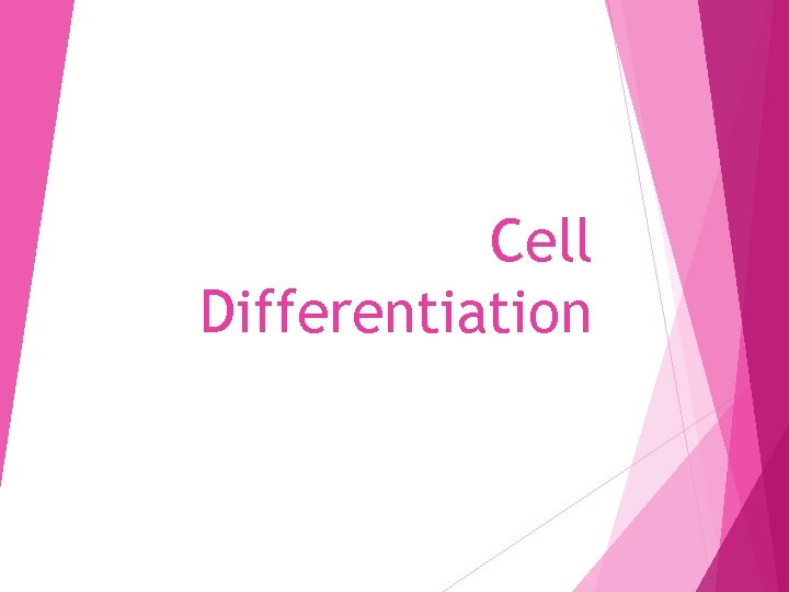 Cell Differentiation 