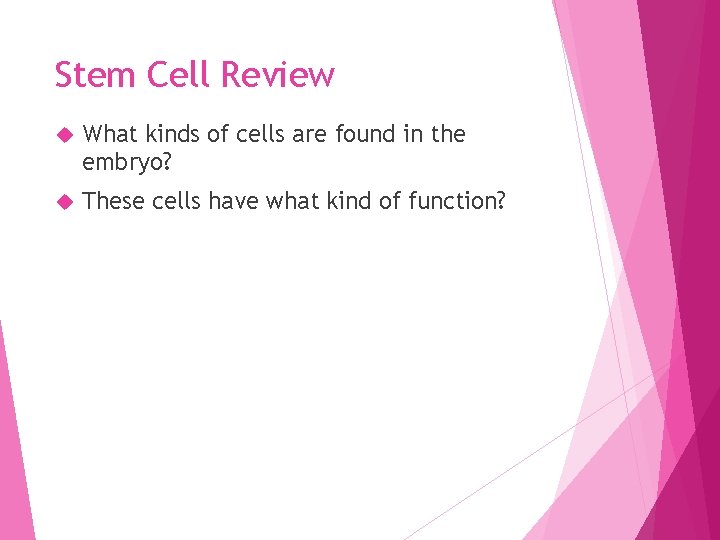 Stem Cell Review What kinds of cells are found in the embryo? These cells