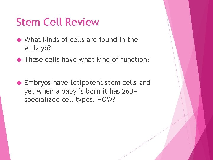 Stem Cell Review What kinds of cells are found in the embryo? These cells