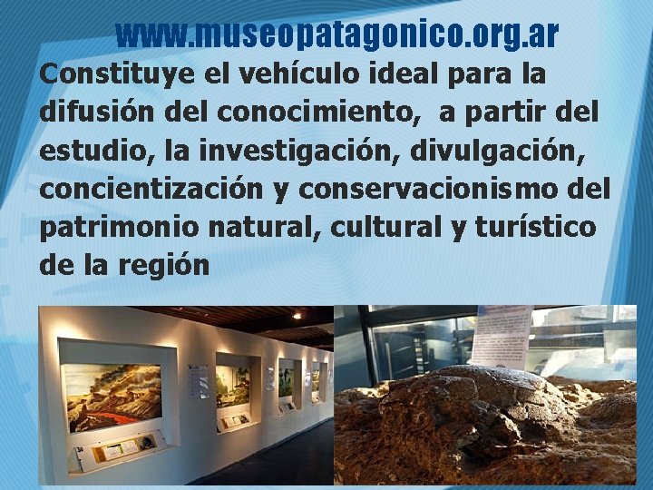 www. museopatagonico. org. ar Constituye el vehículo ideal para la difusión del conocimiento, a