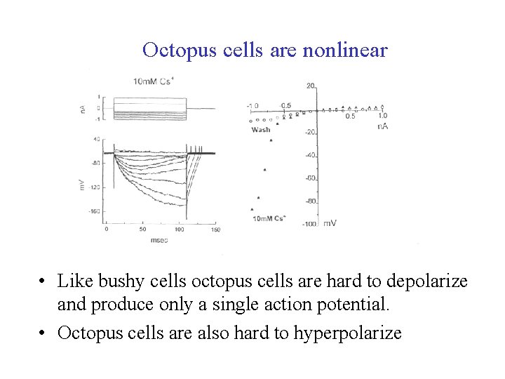 Octopus cells are nonlinear • Like bushy cells octopus cells are hard to depolarize