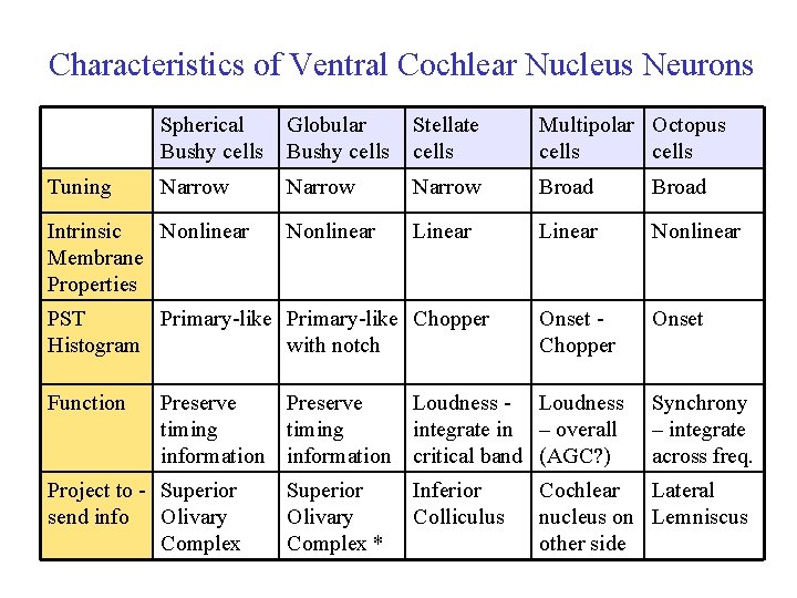 Characteristics of Ventral Cochlear Nucleus Neurons Tuning Spherical Bushy cells Globular Bushy cells Stellate