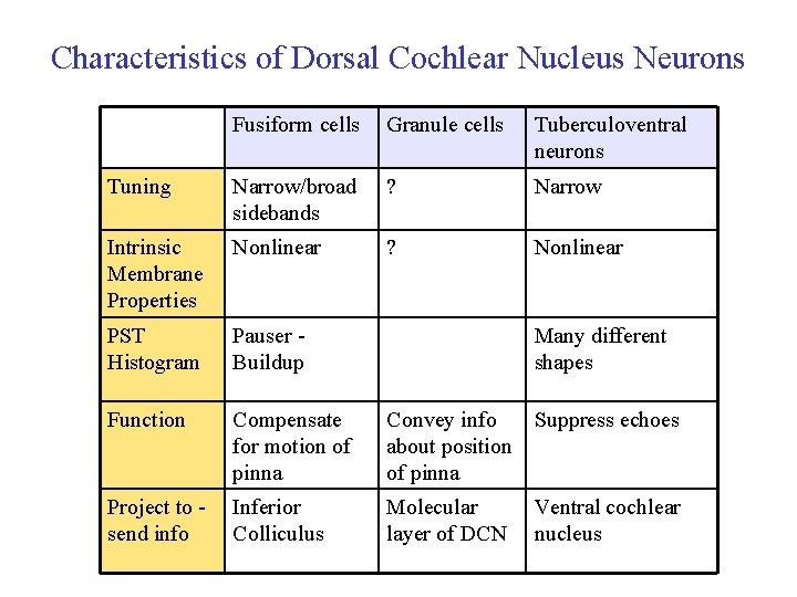 Characteristics of Dorsal Cochlear Nucleus Neurons Fusiform cells Granule cells Tuberculoventral neurons Tuning Narrow/broad