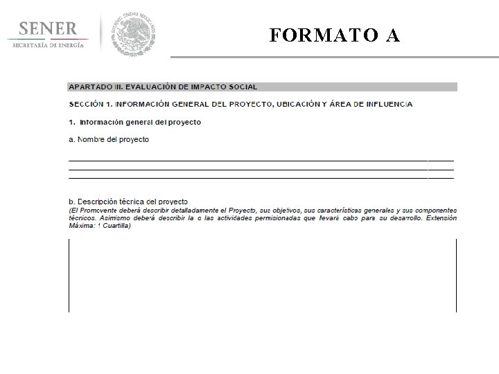 FORMATO A 