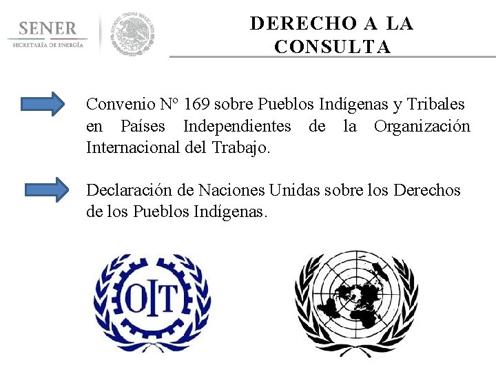 DERECHO A LA CONSULTA Convenio Nº 169 sobre Pueblos Indígenas y Tribales en Países