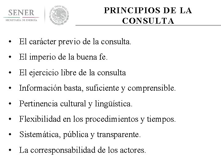 PRINCIPIOS DE LA CONSULTA • El carácter previo de la consulta. • El imperio