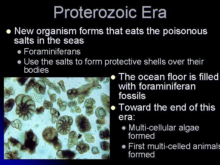 Proterozoic Era l New organism forms that eats the poisonous salts in the seas Proterozoic Era l New organism forms that eats the poisonous salts in the seas