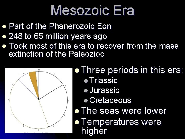 Mesozoic Era Part of the Phanerozoic Eon l 248 to 65 million years ago Mesozoic Era Part of the Phanerozoic Eon l 248 to 65 million years ago