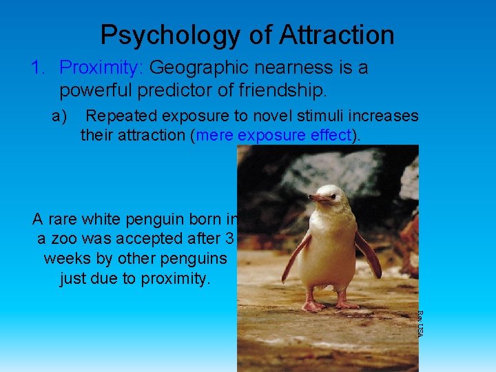 Psychology of Attraction 1. Proximity: Geographic nearness is a powerful predictor of friendship. a)