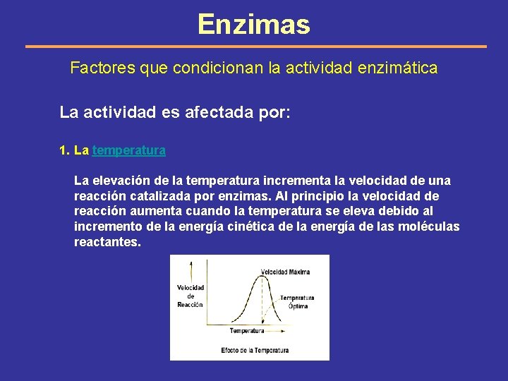 Enzimas Factores que condicionan la actividad enzimática La actividad es afectada por: 1. La