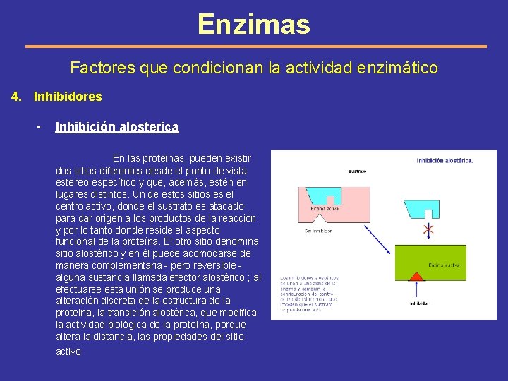 Enzimas Factores que condicionan la actividad enzimático 4. Inhibidores • Inhibición alosterica En las