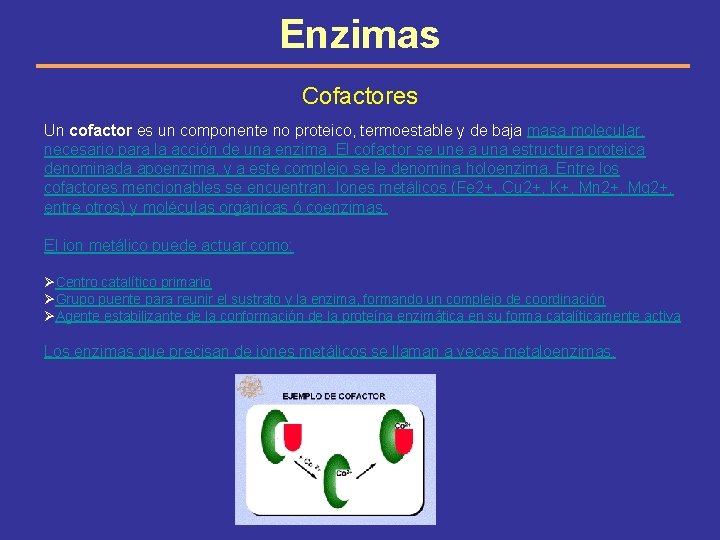 Enzimas Cofactores Un cofactor es un componente no proteico, termoestable y de baja masa