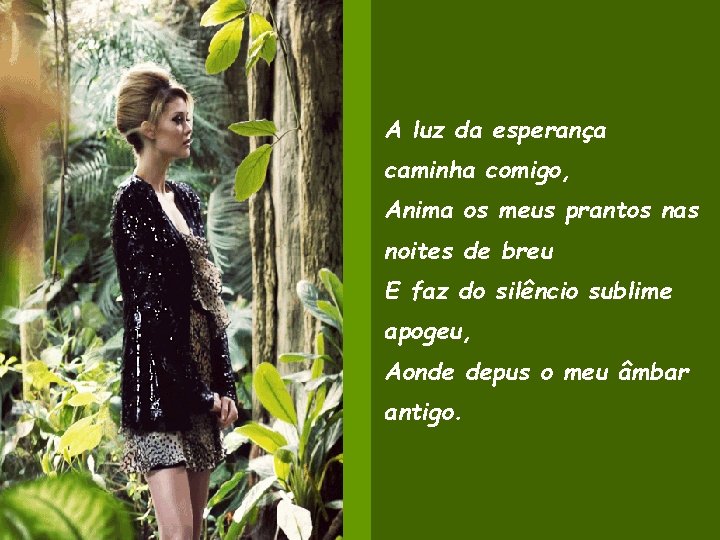 A luz da esperança caminha comigo, Anima os meus prantos nas noites de breu