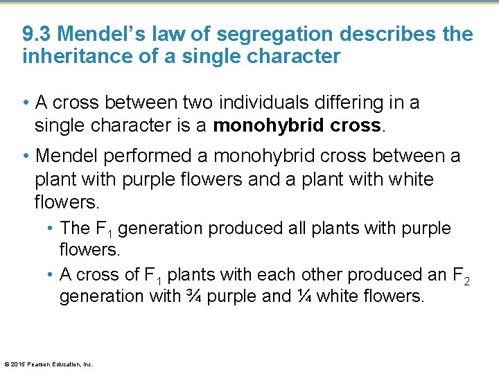 9. 3 Mendel’s law of segregation describes the inheritance of a single character •