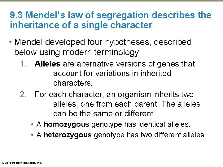 9. 3 Mendel’s law of segregation describes the inheritance of a single character •