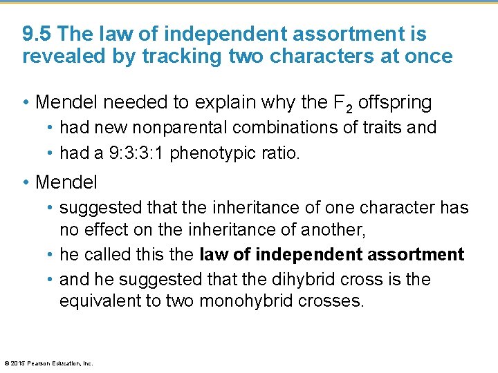 9. 5 The law of independent assortment is revealed by tracking two characters at