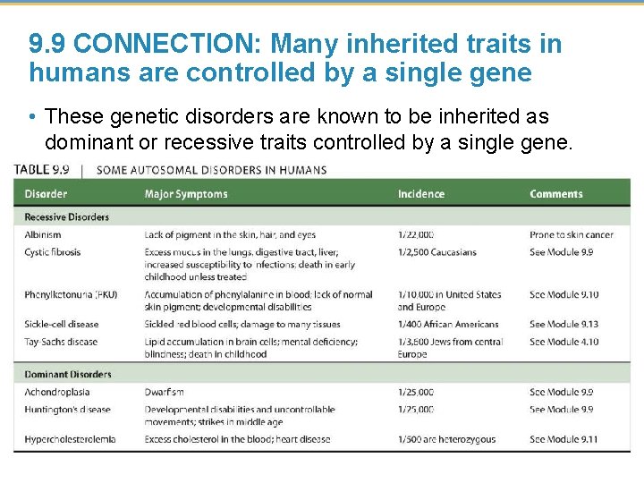 9. 9 CONNECTION: Many inherited traits in humans are controlled by a single gene
