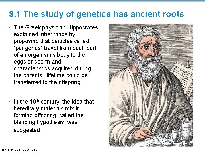 9. 1 The study of genetics has ancient roots • The Greek physician Hippocrates