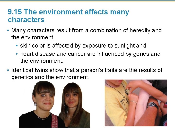 9. 15 The environment affects many characters • Many characters result from a combination