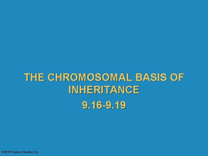 THE CHROMOSOMAL BASIS OF INHERITANCE 9. 16 -9. 19 © 2015 Pearson Education, Inc.