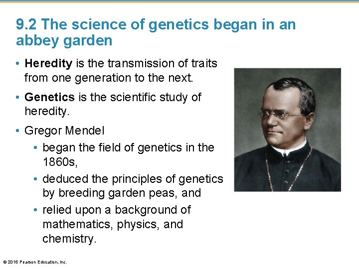 9. 2 The science of genetics began in an abbey garden • Heredity is