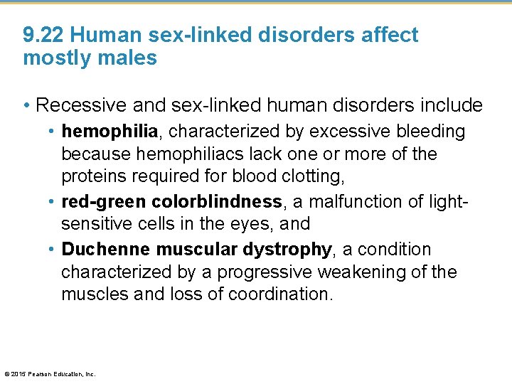 9. 22 Human sex-linked disorders affect mostly males • Recessive and sex-linked human disorders