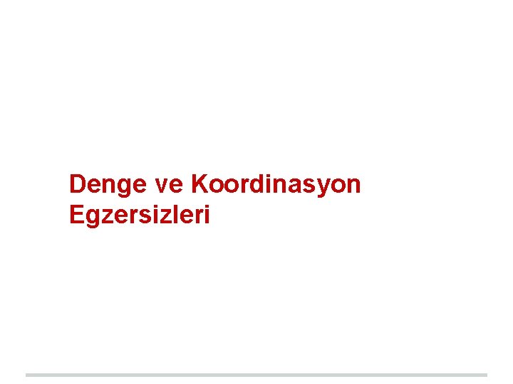 Denge ve Koordinasyon Egzersizleri Denge ve Koordinasyon Egzersizleri