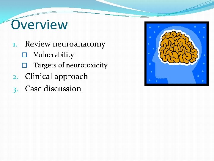 Overview 1. Review neuroanatomy � Vulnerability � Targets of neurotoxicity 2. Clinical approach 3.