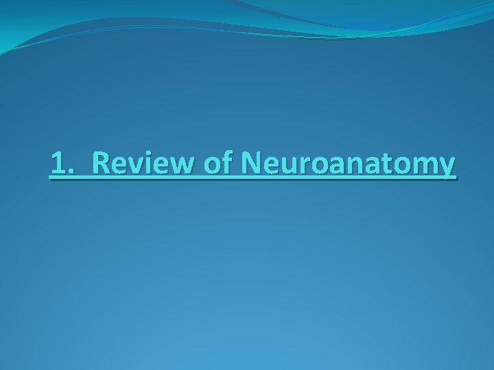 1. Review of Neuroanatomy 