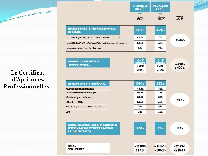 Le Certificat d’Aptitudes Professionnelles : 